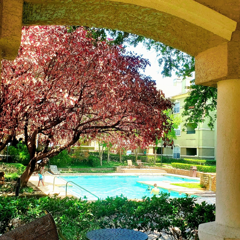 Always interested in win-win transactions